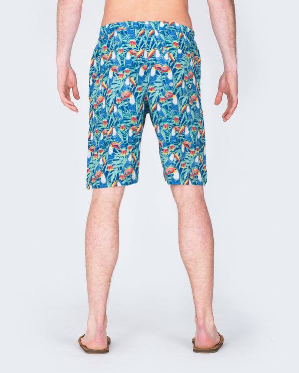 2t Tall Parrot Print Swim Shorts (blue)