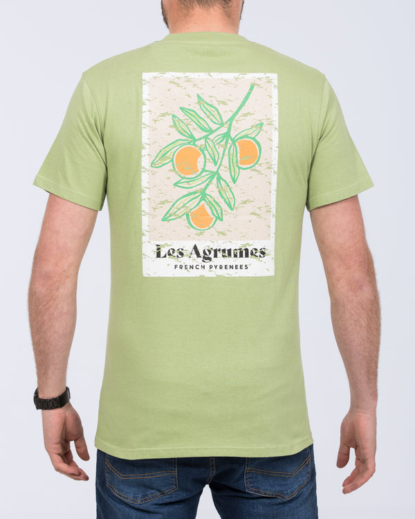 2t Tall Les Agrumes T-Shirt (green)