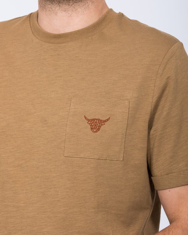 2t Benji Tall Embroidered T-Shirt (brown)