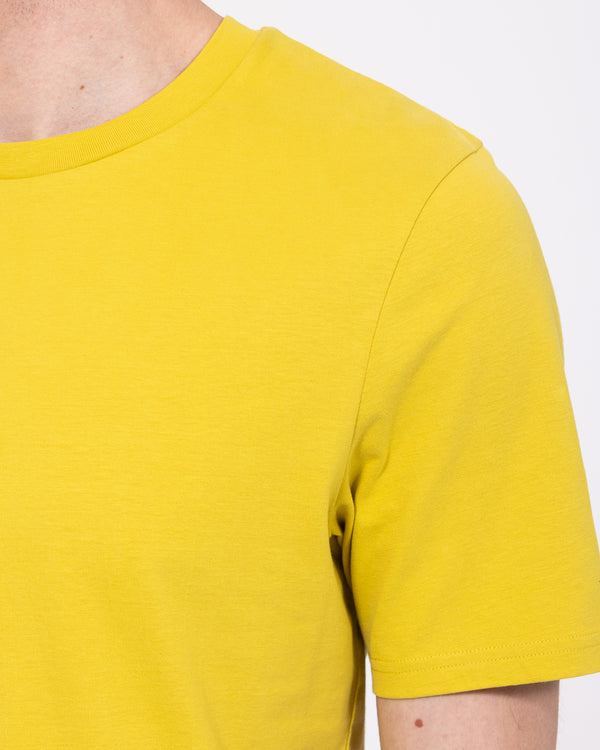 2t Liam Tall Normale Passform T-Shirt (chartreuse)