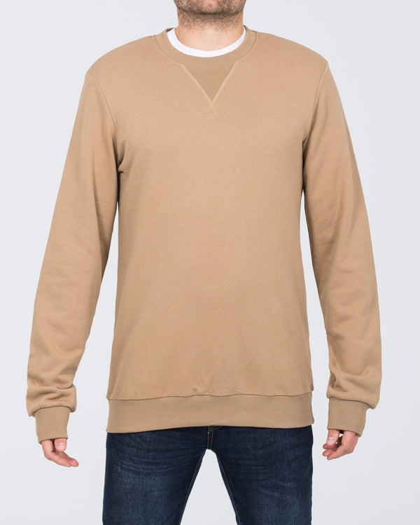 2t Dale Regular Fit Tall Sweatshirt (taupe)