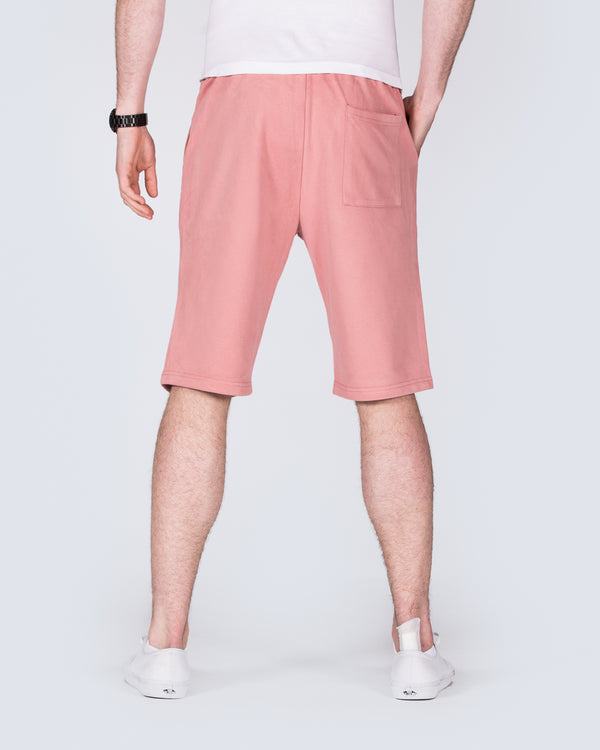 2t Tall Jakob Sweat Shorts (dusty rose)