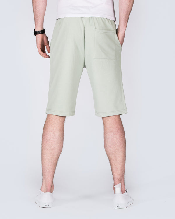 2t Tall Jakob Sweat Shorts (light green)